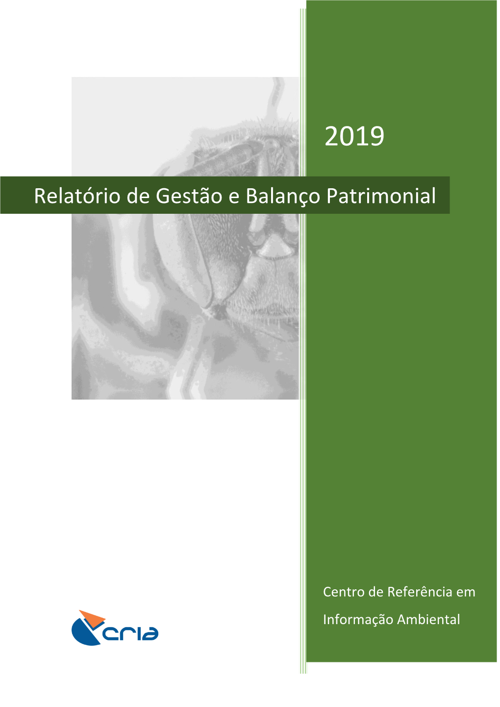 Relatório De Gestão E Balanço Patrimonial