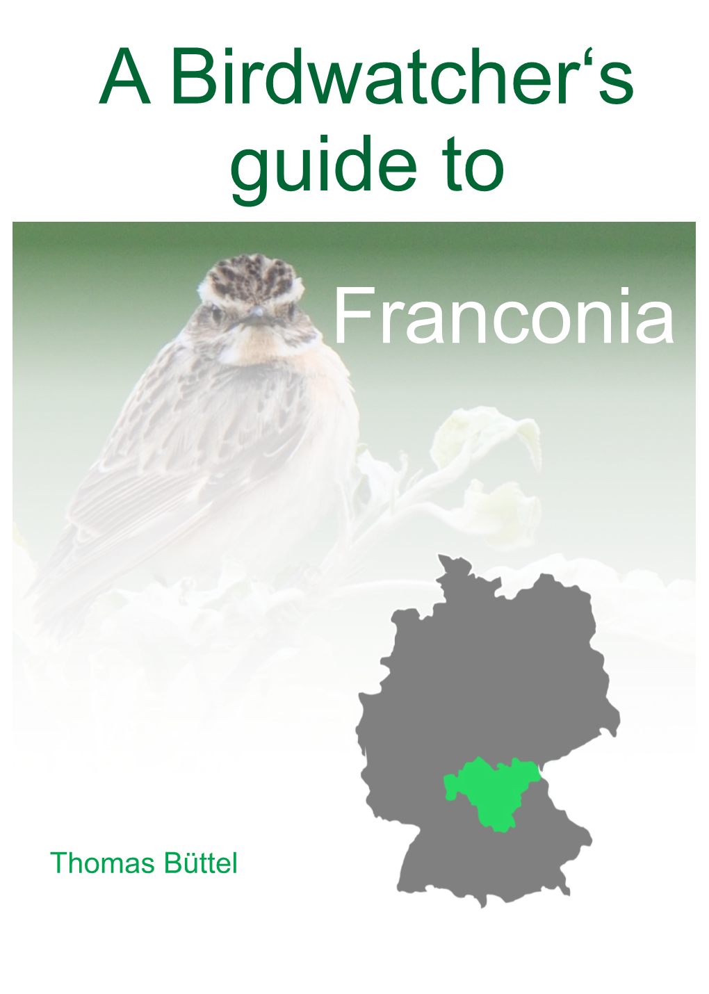 A Birdwatcher's Guide to Franconia
