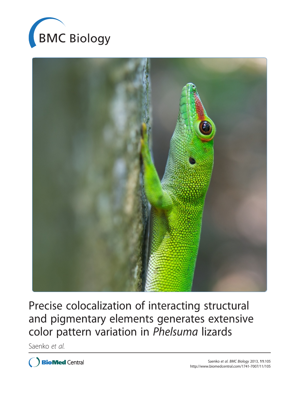 Precise Colocalization of Interacting Structural and Pigmentary Elements Generates Extensive Color Pattern Variation in Phelsuma Lizards Saenko Et Al