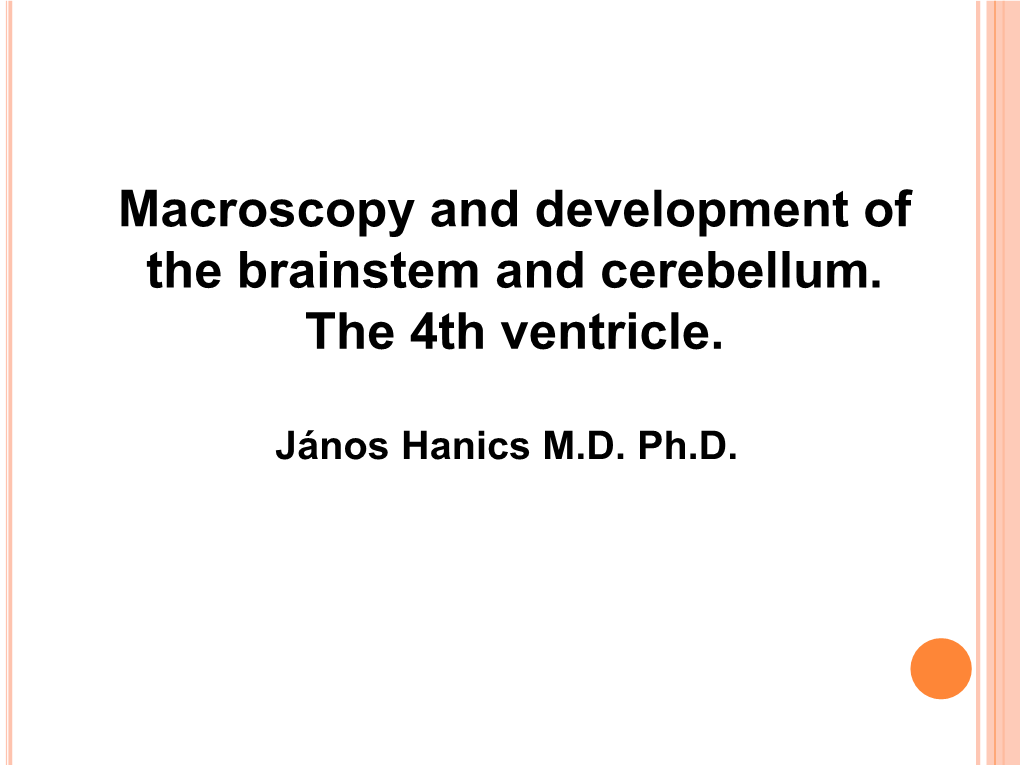 Macroscopy and Development of the Brainstem and Cerebellum. the 4Th Ventricle