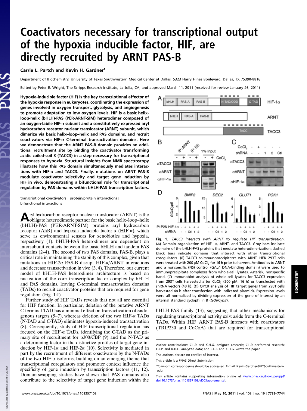 Coactivators Necessary for Transcriptional Output of the Hypoxia Inducible Factor, HIF, Are Directly Recruited by ARNT PAS-B