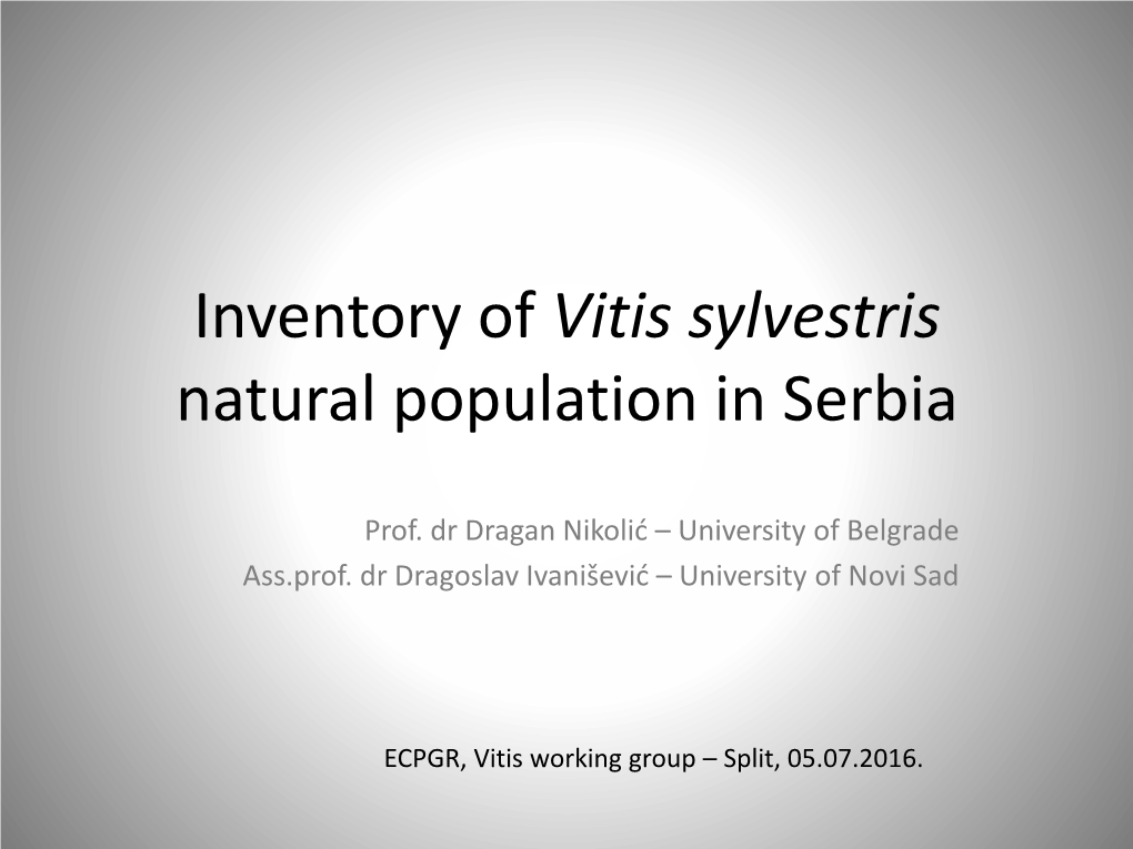 Inventory of Vitis Sylvestris Natural Population in Serbia