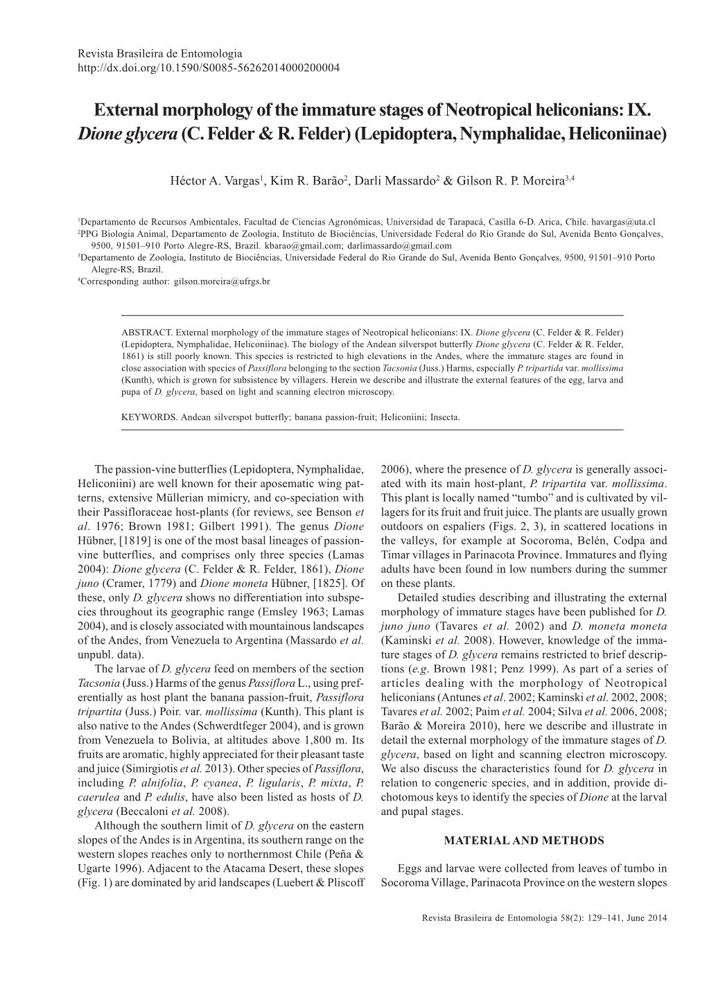 External Morphology of the Immature Stages of Neotropical Heliconians: IX. Dione Glycera(C. Felder & R. Felder) (Lepidoptera