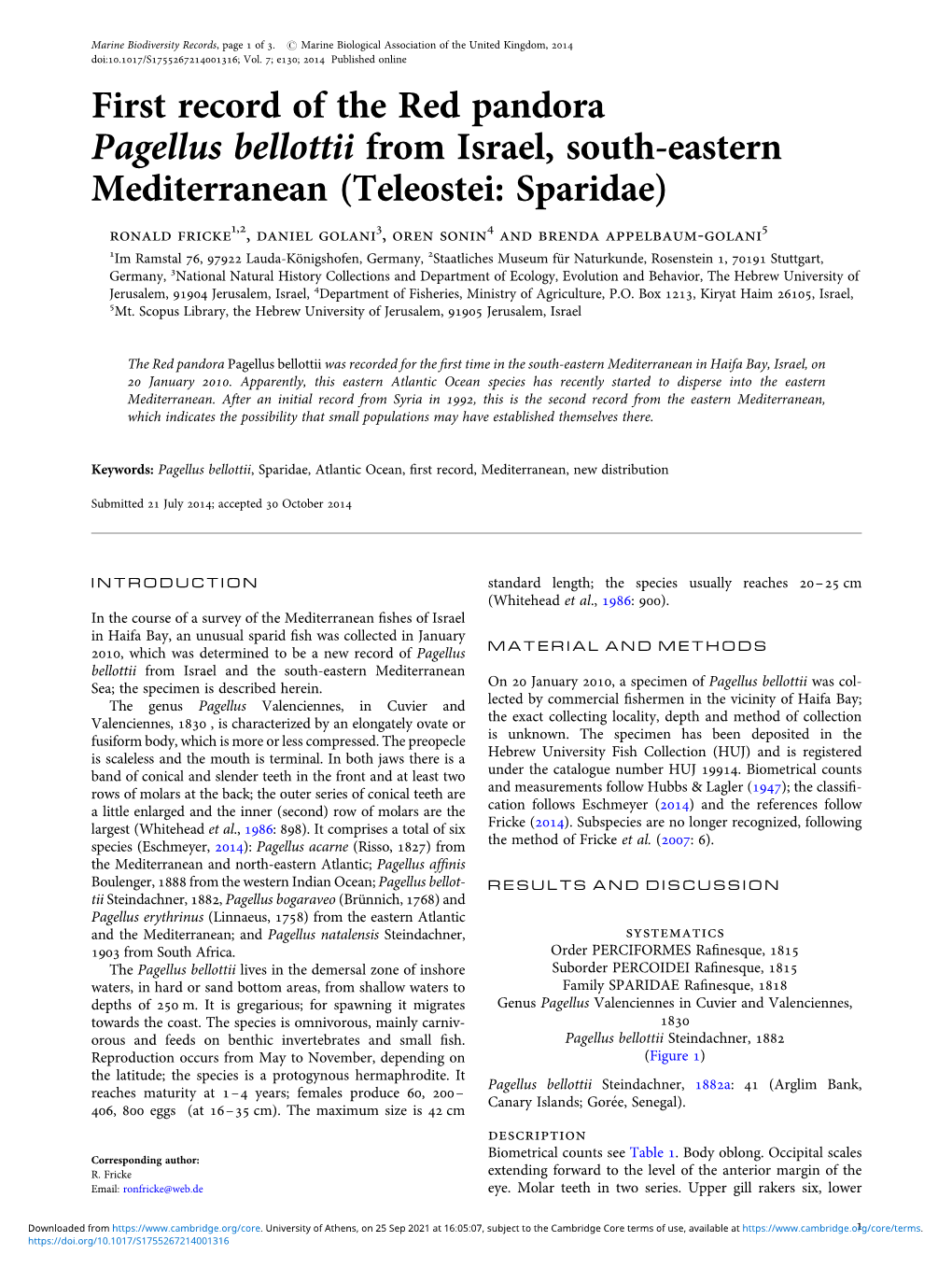 First Record of the Red Pandora Pagellus Bellottii from Israel, South-Eastern Mediterranean (Teleostei: Sparidae)