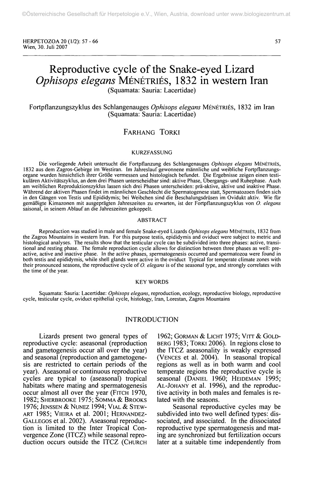 Reproductive Cycle of the Snake-Eyed Lizard Ophisops Elegans MÉNÉTRIÉS, 1832 in Western Iran (Squamata: Sauria: Lacertidae)