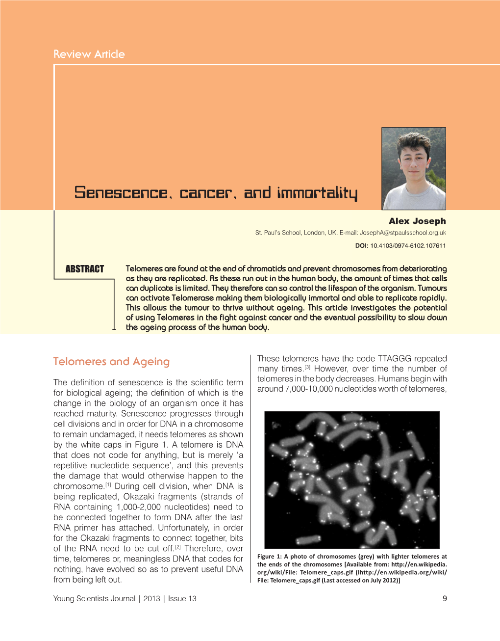 Senescence, Cancer, and Immortality