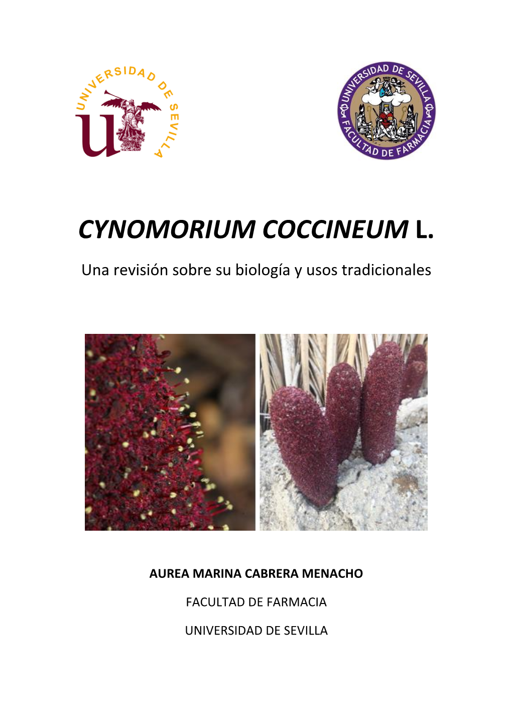 CYNOMORIUM COCCINEUM L. Una Revisión Sobre Su Biología Y Usos Tradicionales