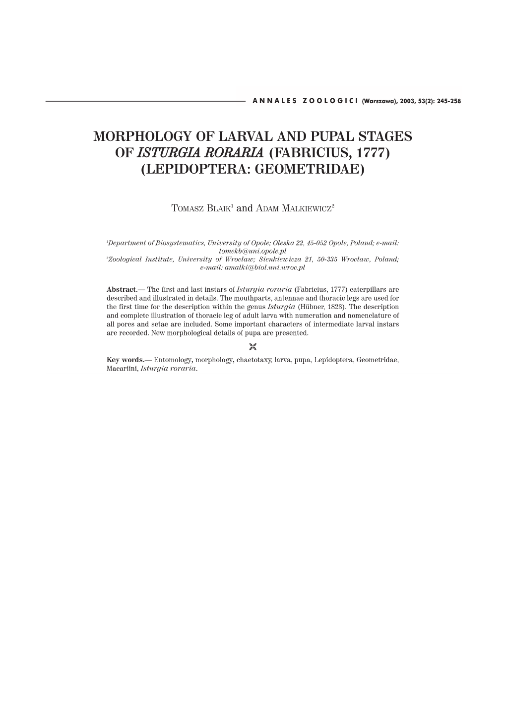 Morphology of Larval and Pupal Stages of Isturgia Roraria (Fabricius, 1777) (Lepidoptera: Geometridae)