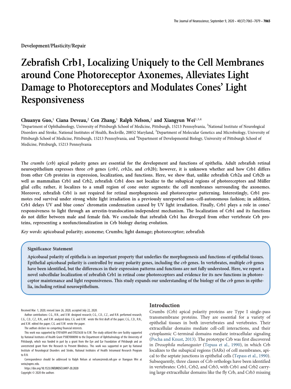 Zebrafish Crb1, Localizing Uniquely to the Cell Membranes Around Cone