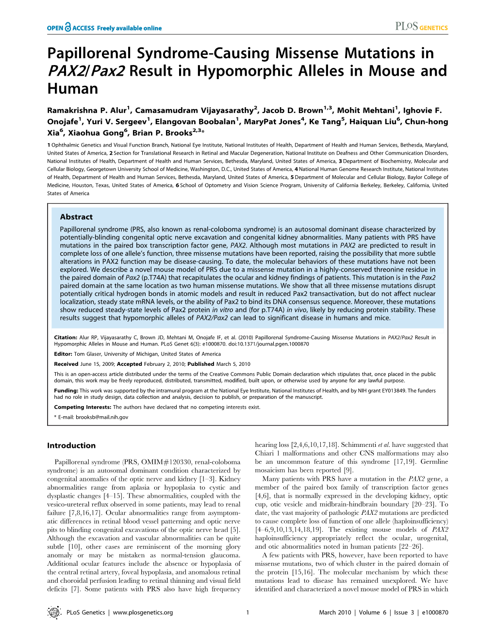 Papillorenal Syndrome-Causing Missense Mutations in PAX2/Pax2 Result in Hypomorphic Alleles in Mouse and Human