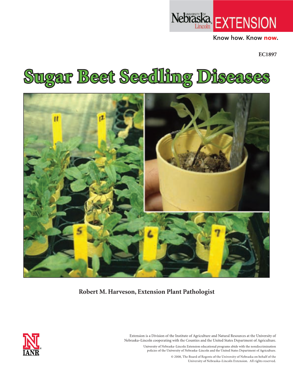 Sugar Beet Seedling Diseases