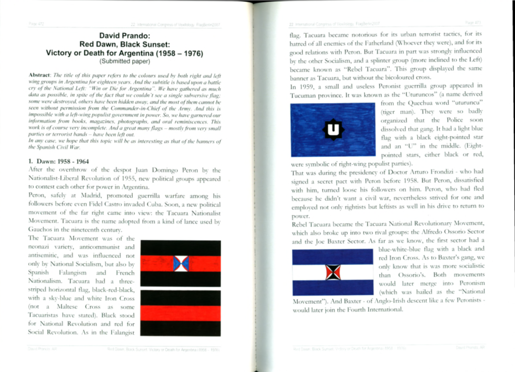 Red Dawn, Black Sunset: Victory Or Death for Argentina >1958 Lo/F/I David Prando, AR Page 477 Groups Had Different Flags, and in Different Colours Sometimes
