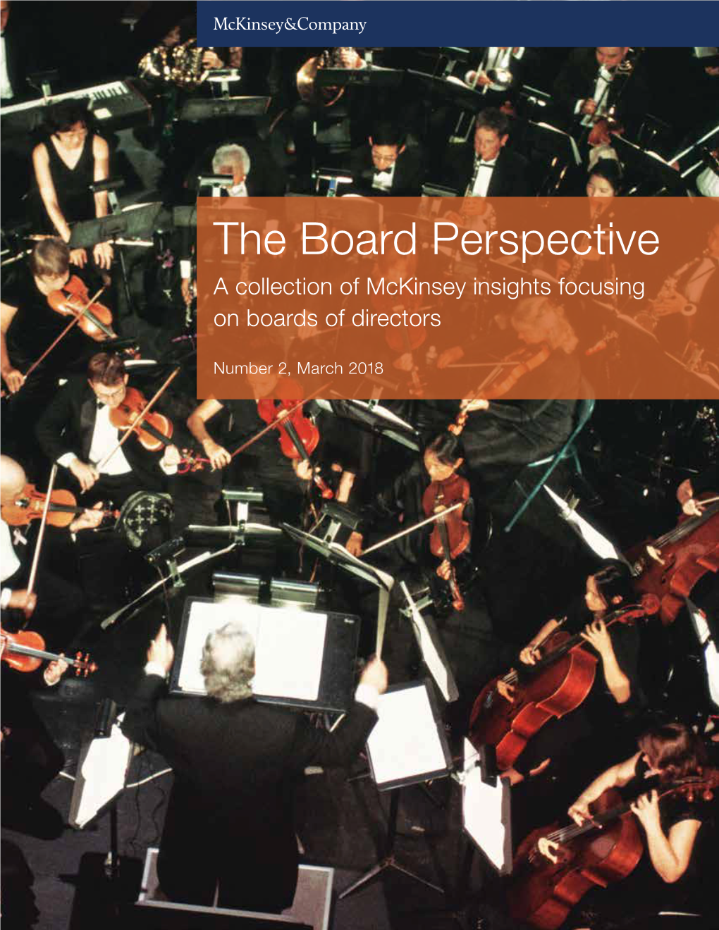 The Board Perspective a Collection of Mckinsey Insights Focusing on Boards of Directors