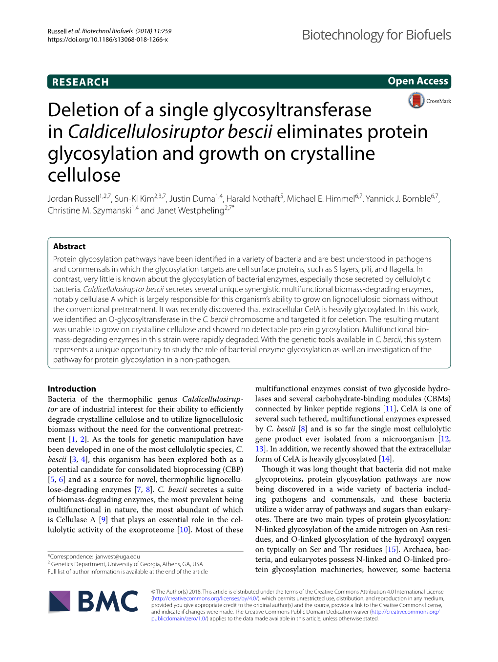 Deletion of a Single Glycosyltransferase In