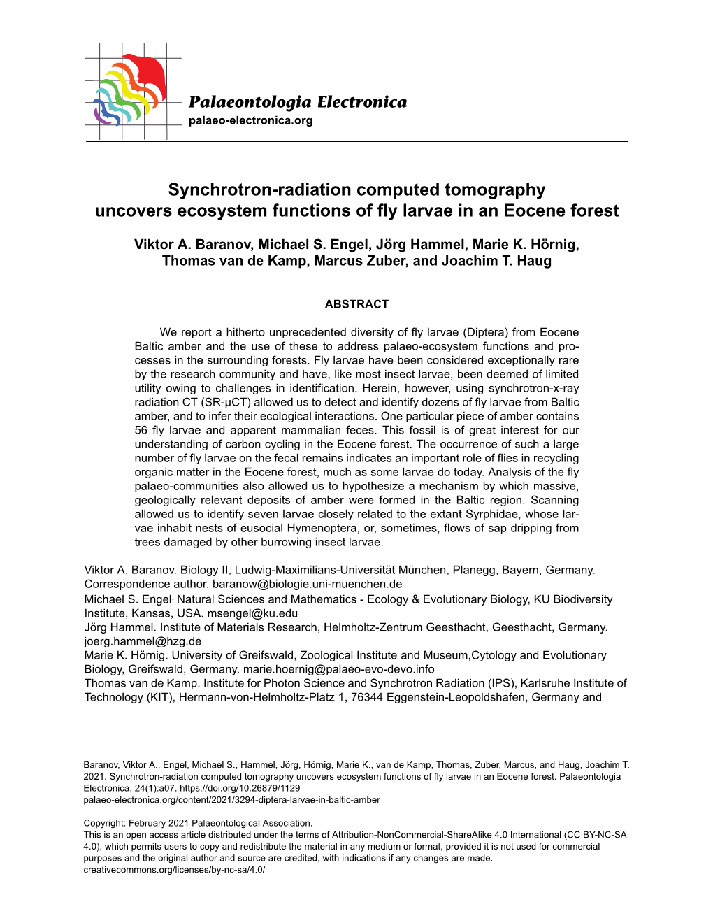 Synchrotron-Radiation Computed Tomography Uncovers Ecosystem Functions of Fly Larvae in an Eocene Forest