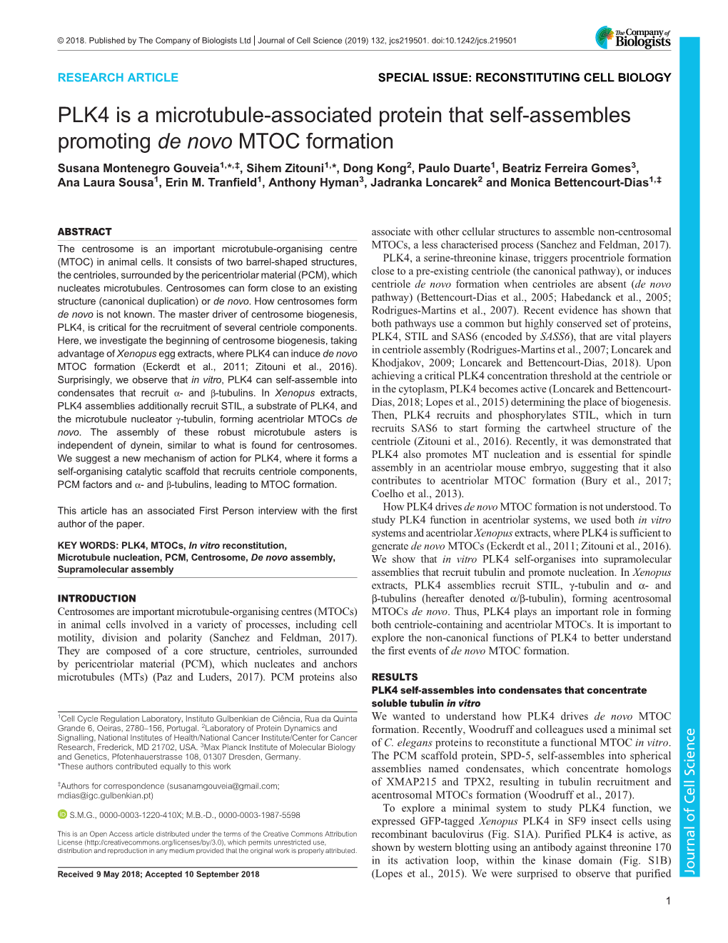 PLK4 Is a Microtubule-Associated Protein That Self-Assembles