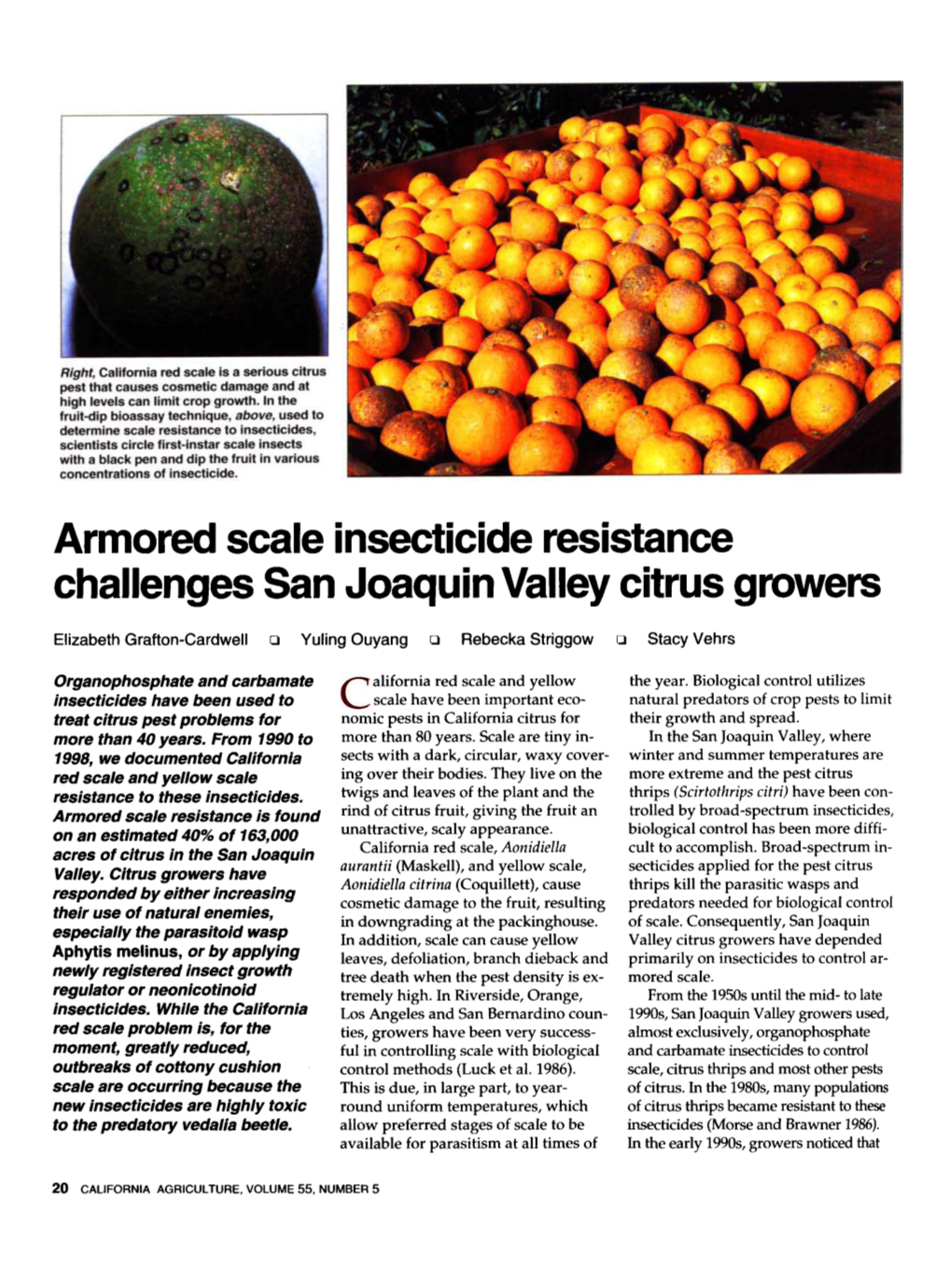 Armored Scale Insecticide Resistance Challenges San Joaquin Valley Citrus Growers