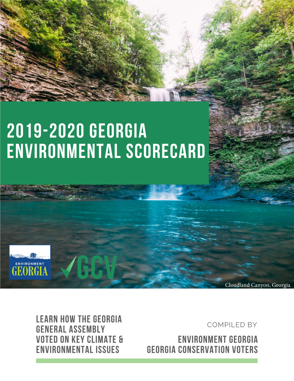 2019-2020 Georgia Environmental Scorecard