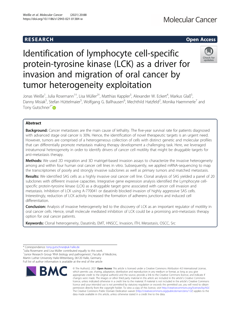 (LCK) As a Driver for Invasion and Migration of Oral Cancer B