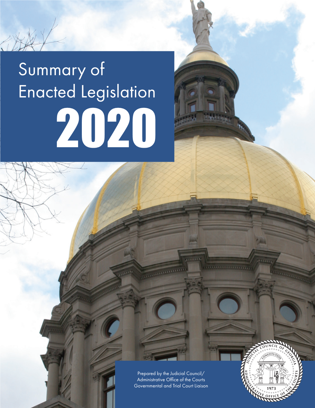 Summary of Enacted Legislation 2020
