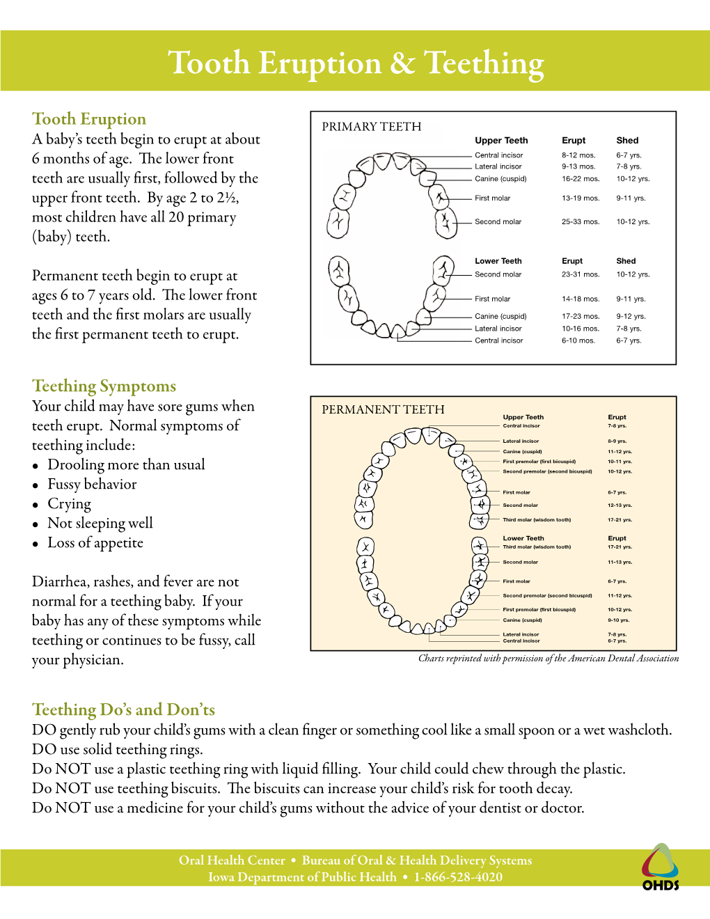 Tooth Eruption & Teething