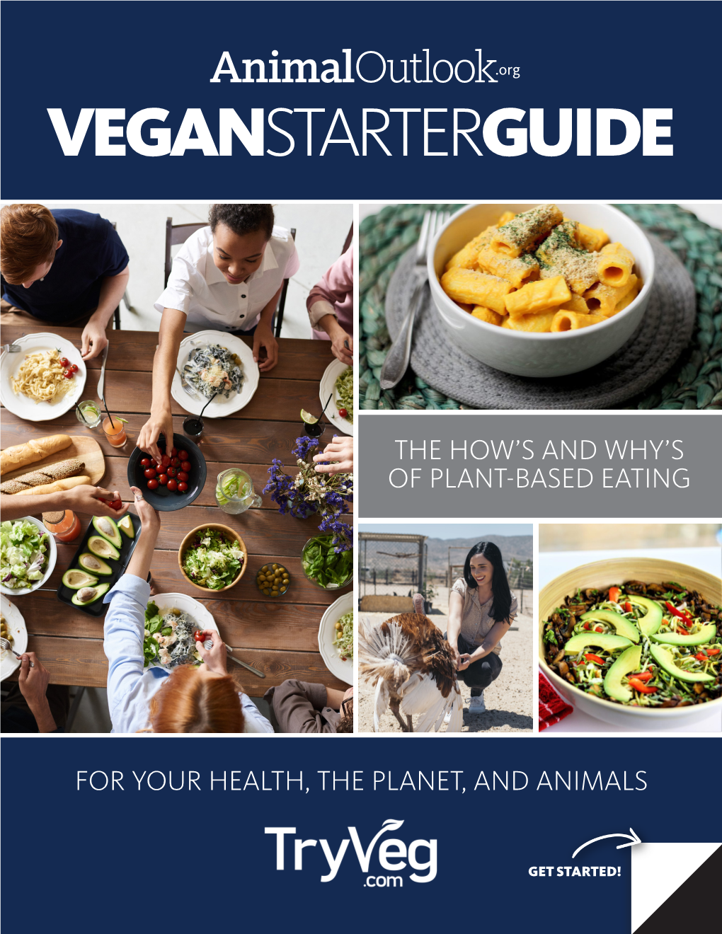 Animal Outlook's Vegan Starter Guide