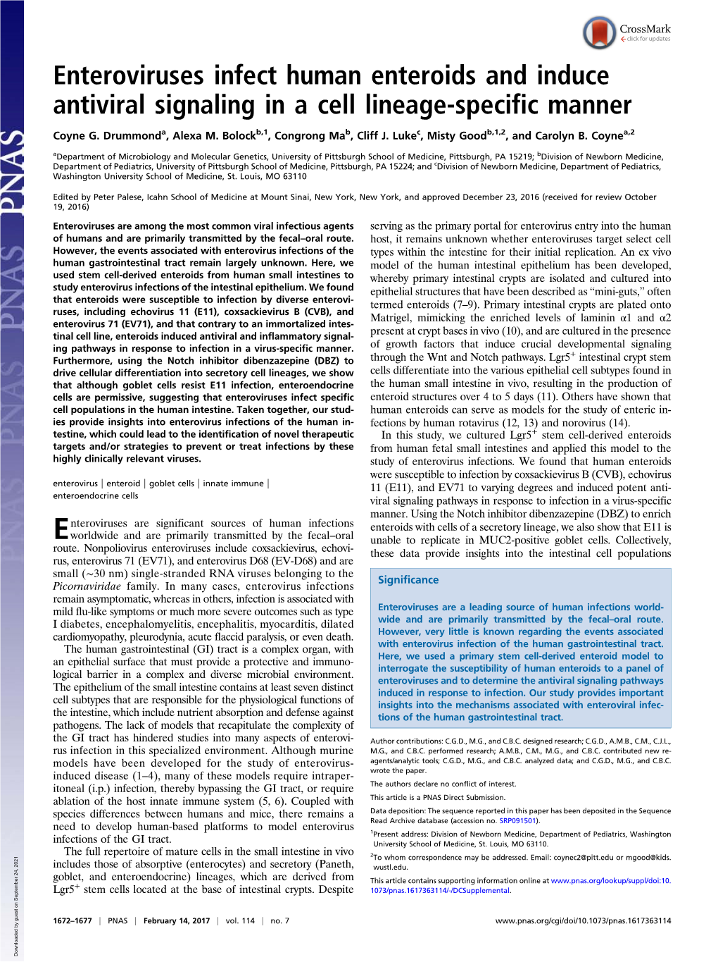 Enteroviruses Infect Human Enteroids and Induce Antiviral Signaling in a Cell Lineage-Specific Manner