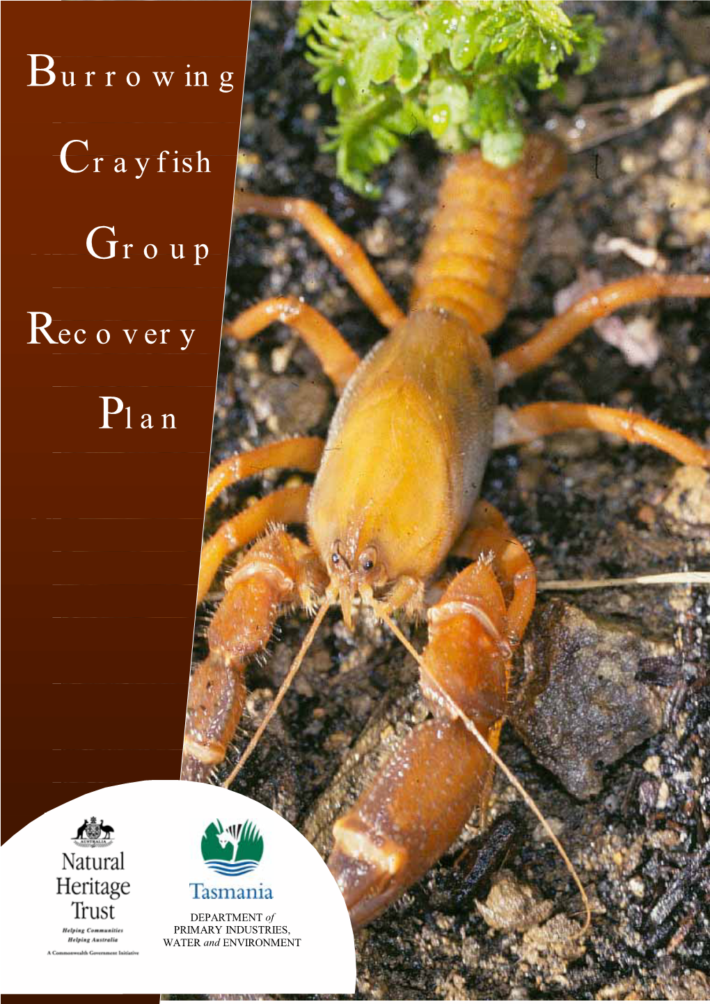 Burrowing Crayfish Group Recovery Plan 2001-2005