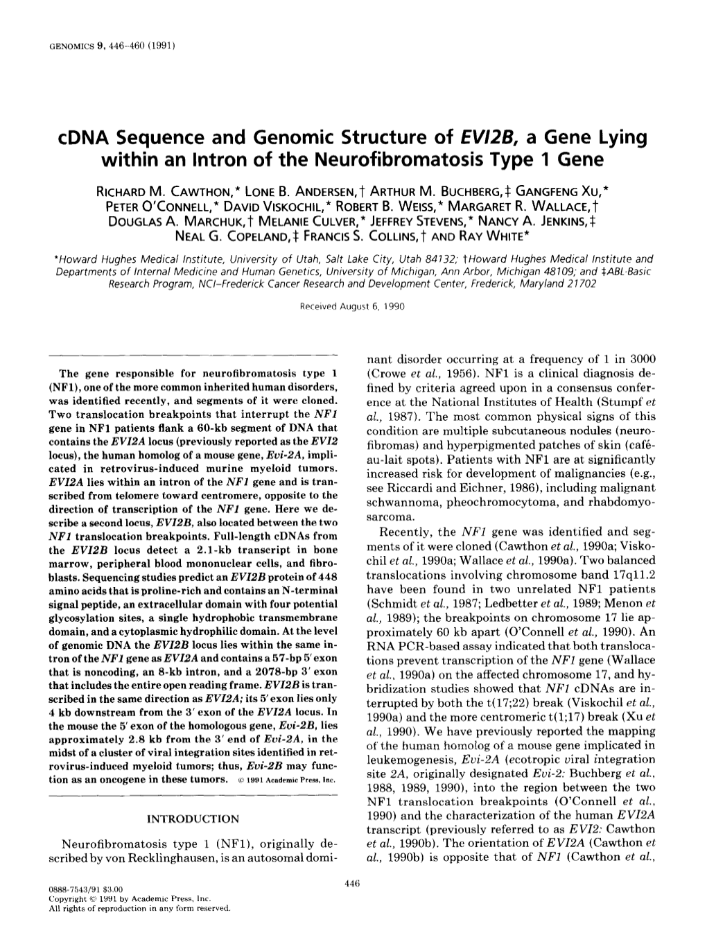 Cdna Sequence and Genomic Structure of EWZB, a Gene Lying Within an Lntron of the Neurofibromatosis Type 1 Gene