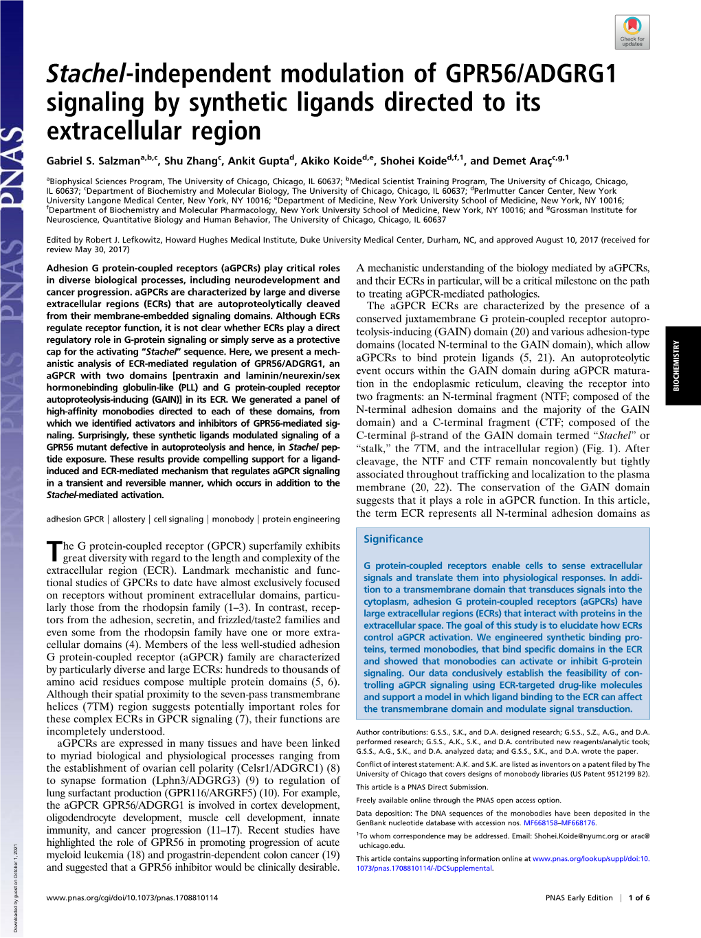 Stachel-Independent Modulation of GPR56/ADGRG1 Signaling by Synthetic Ligands Directed to Its Extracellular Region