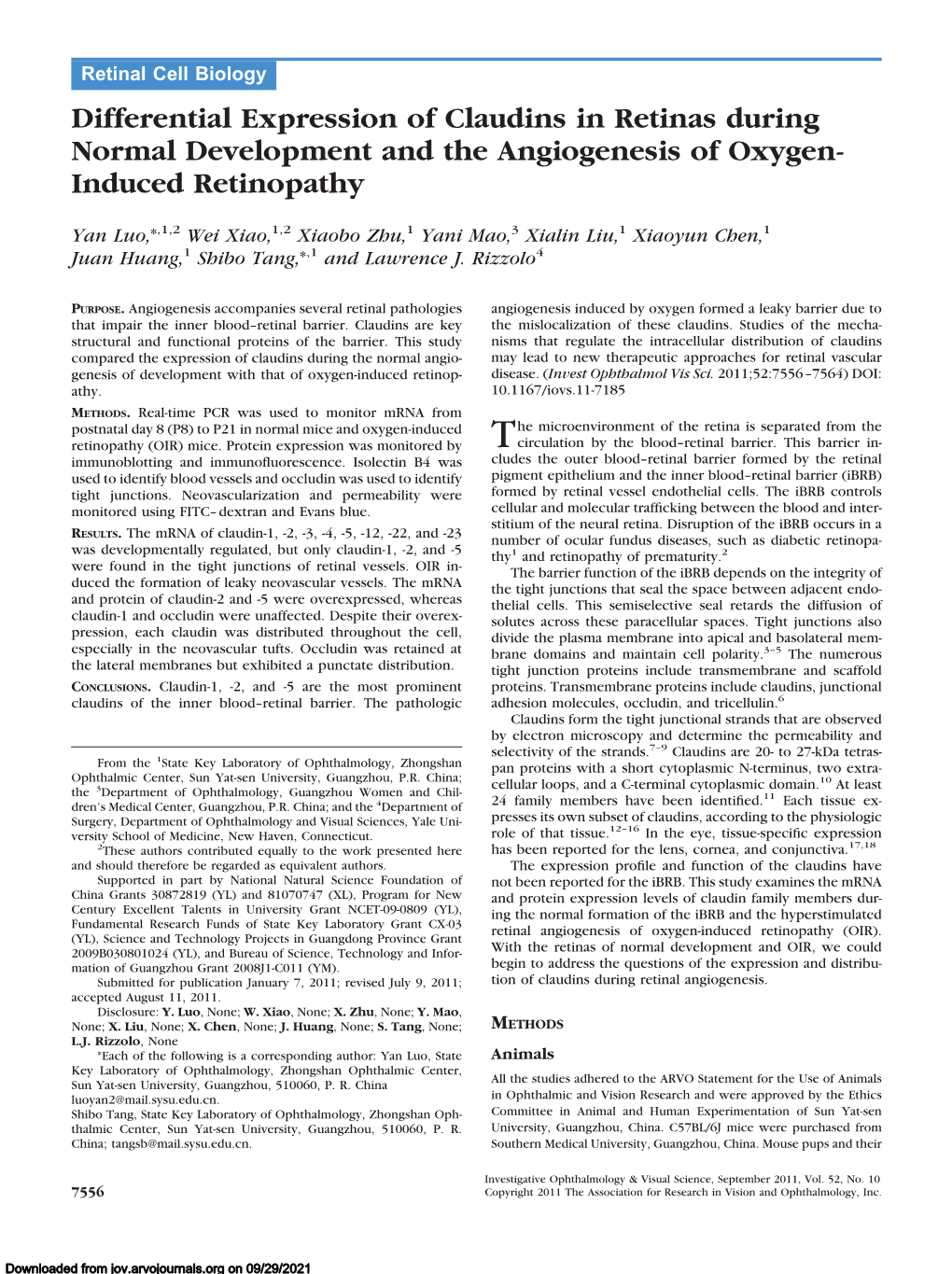 Differential Expression of Claudins in Retinas During Normal Development and the Angiogenesis of Oxygen- Induced Retinopathy