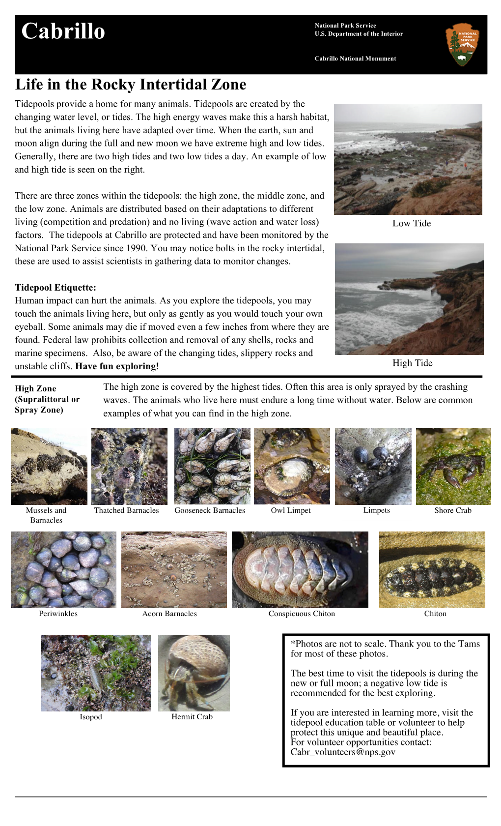 Life in the Rocky Intertidal Zone Tidepools Provide a Home for Many Animals