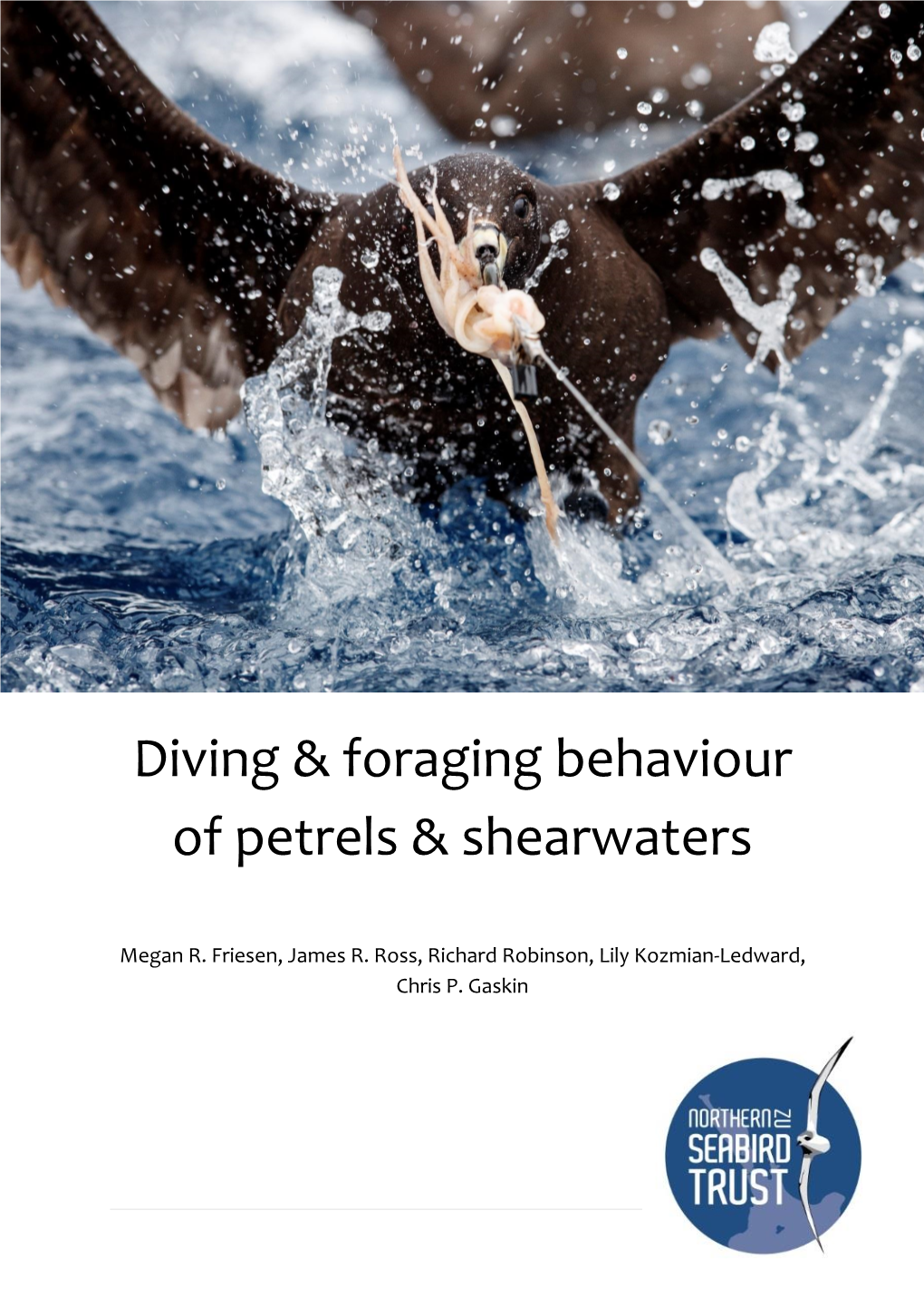 Diving & Foraging Behaviour of Petrels and Shearwaters