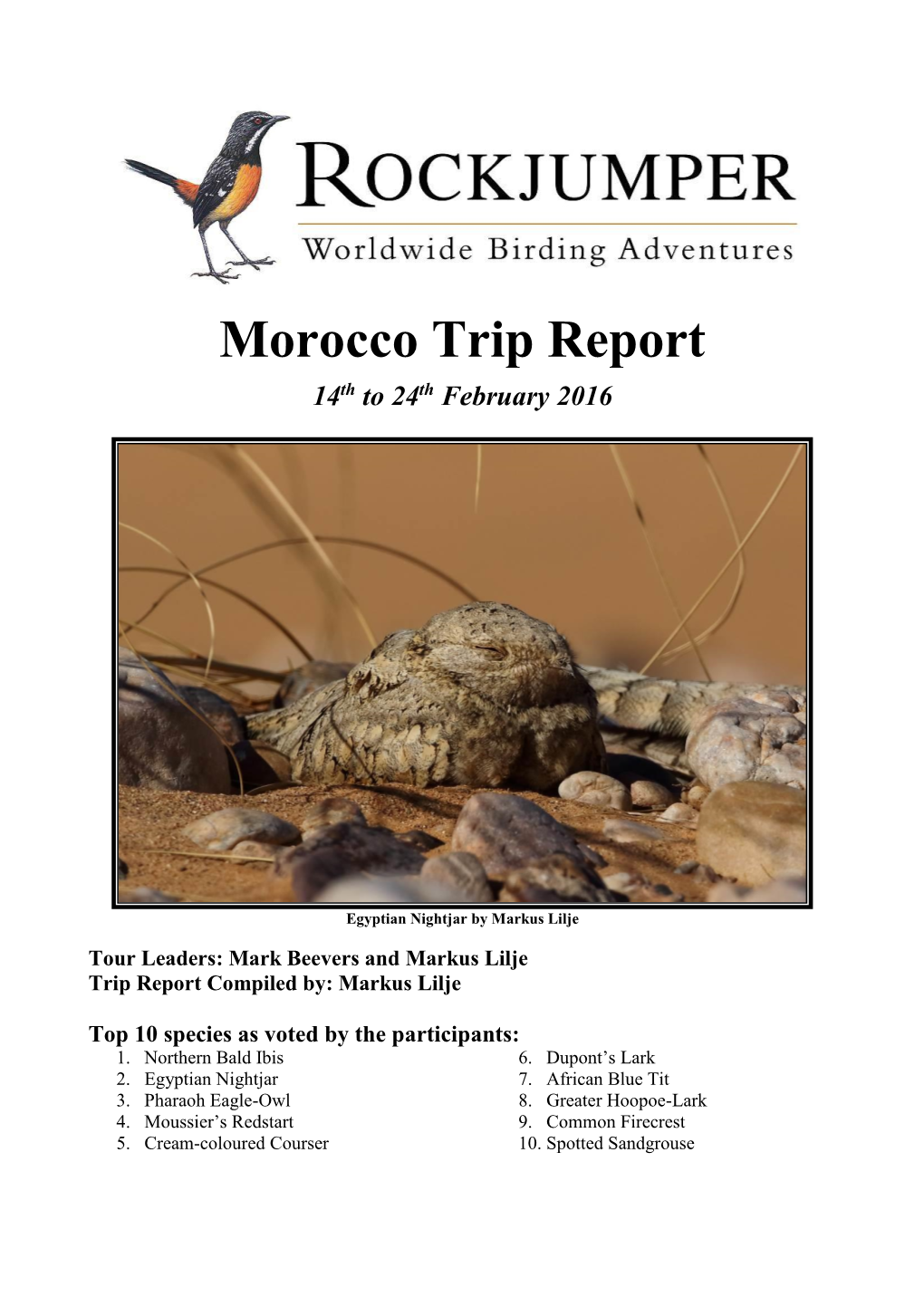 Morocco Trip Report 14Th to 24Th February 2016