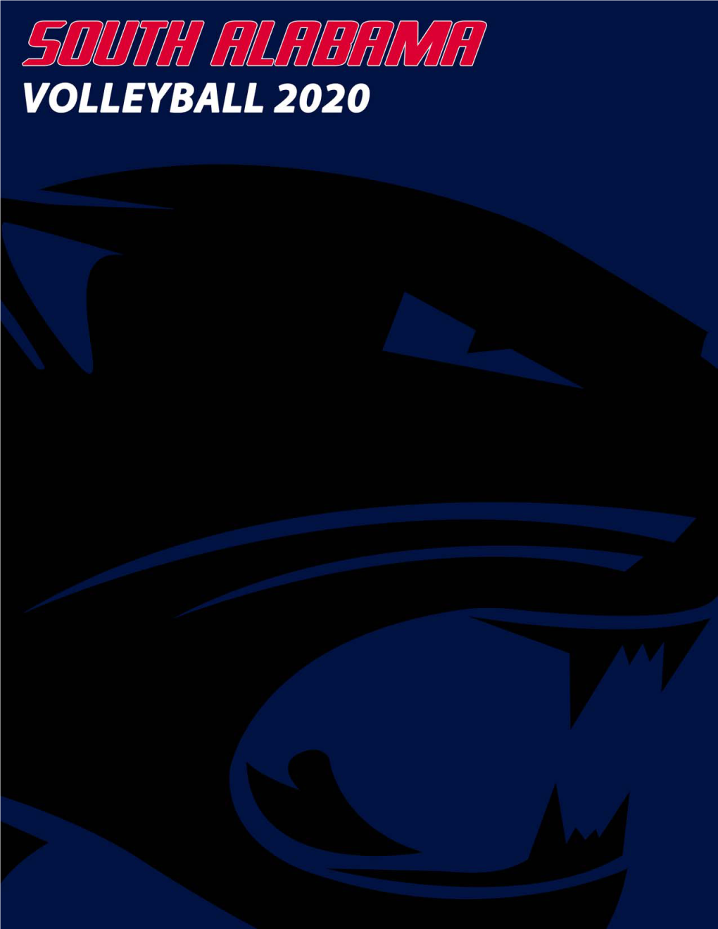 2020 VB Media Guide.Indd