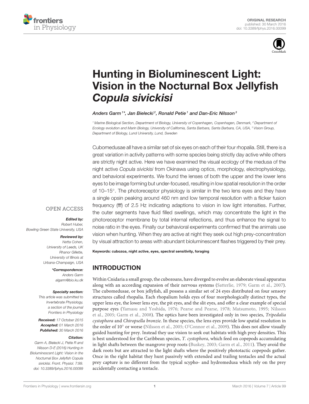 Vision in the Nocturnal Box Jellyfish Copula Sivickisi