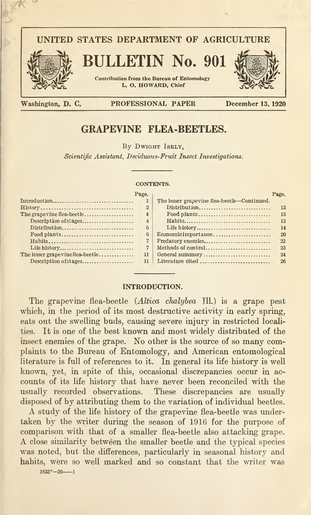 Grapevine Flea-Beetles