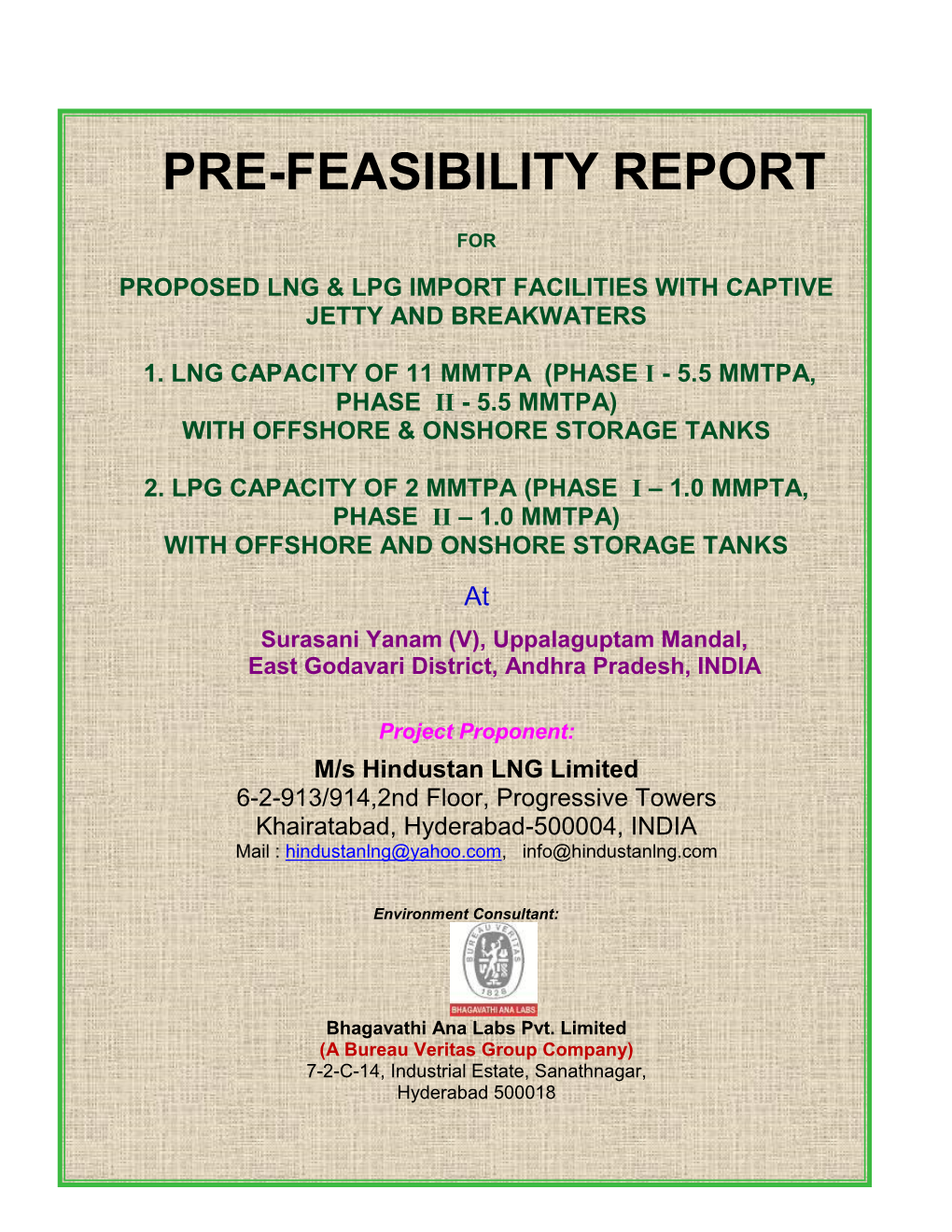 Pre-Feasibility Report