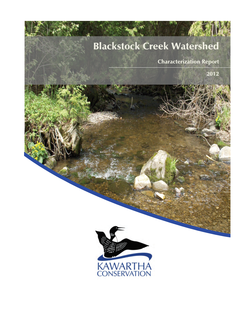 Blackstock Creek Watershed Characterization Report - 2012