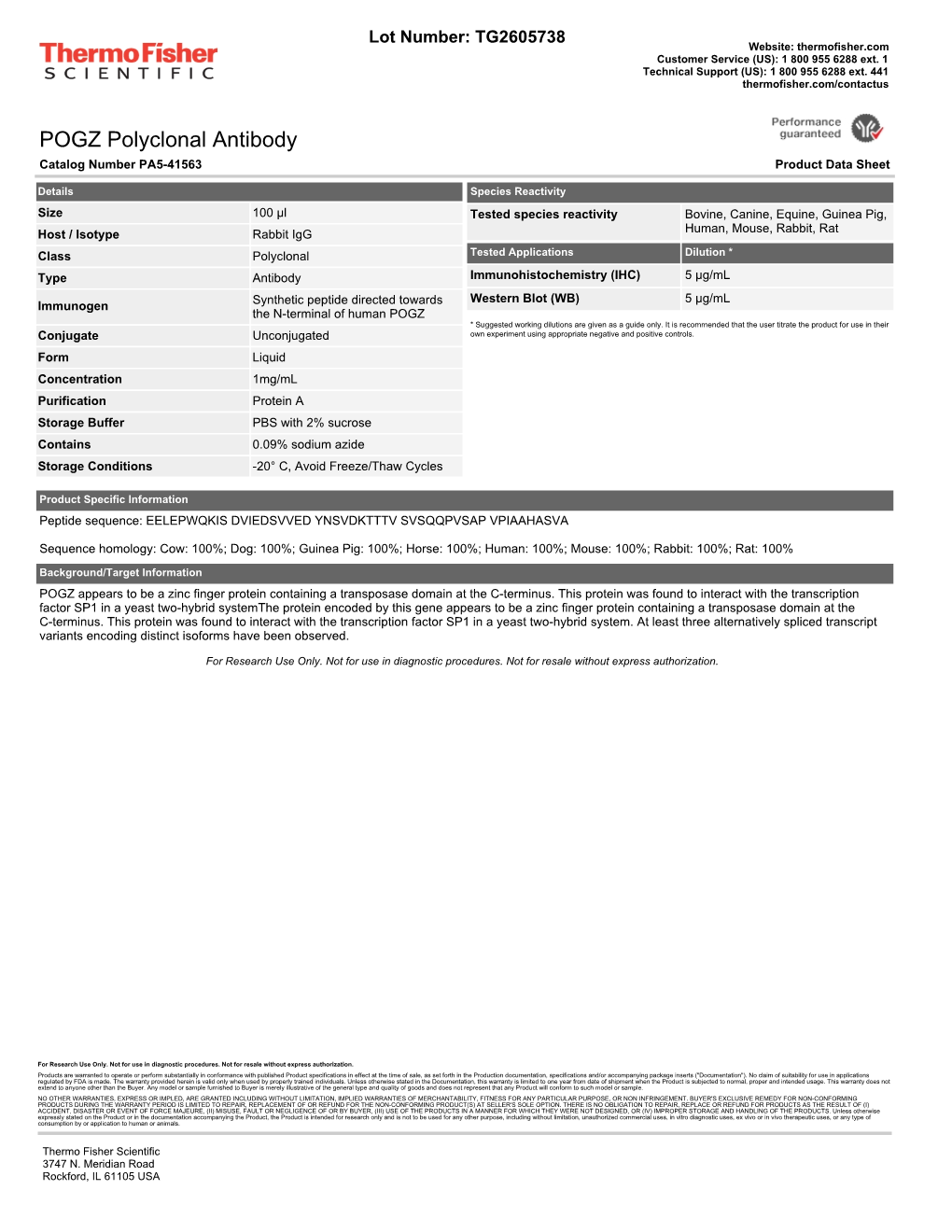 POGZ Polyclonal Antibody Catalog Number PA5-41563 Product Data Sheet
