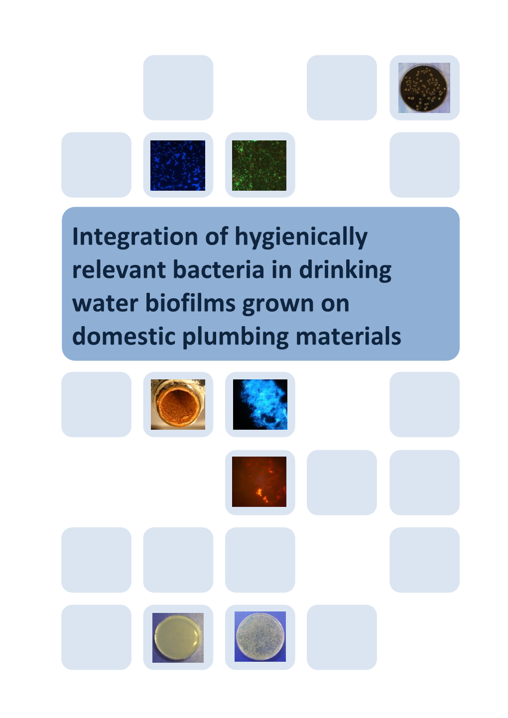 Integration of Hygienically Relevant Bacteria in Drinking Water Biofilms Grown on Domestic Plumbing Materials