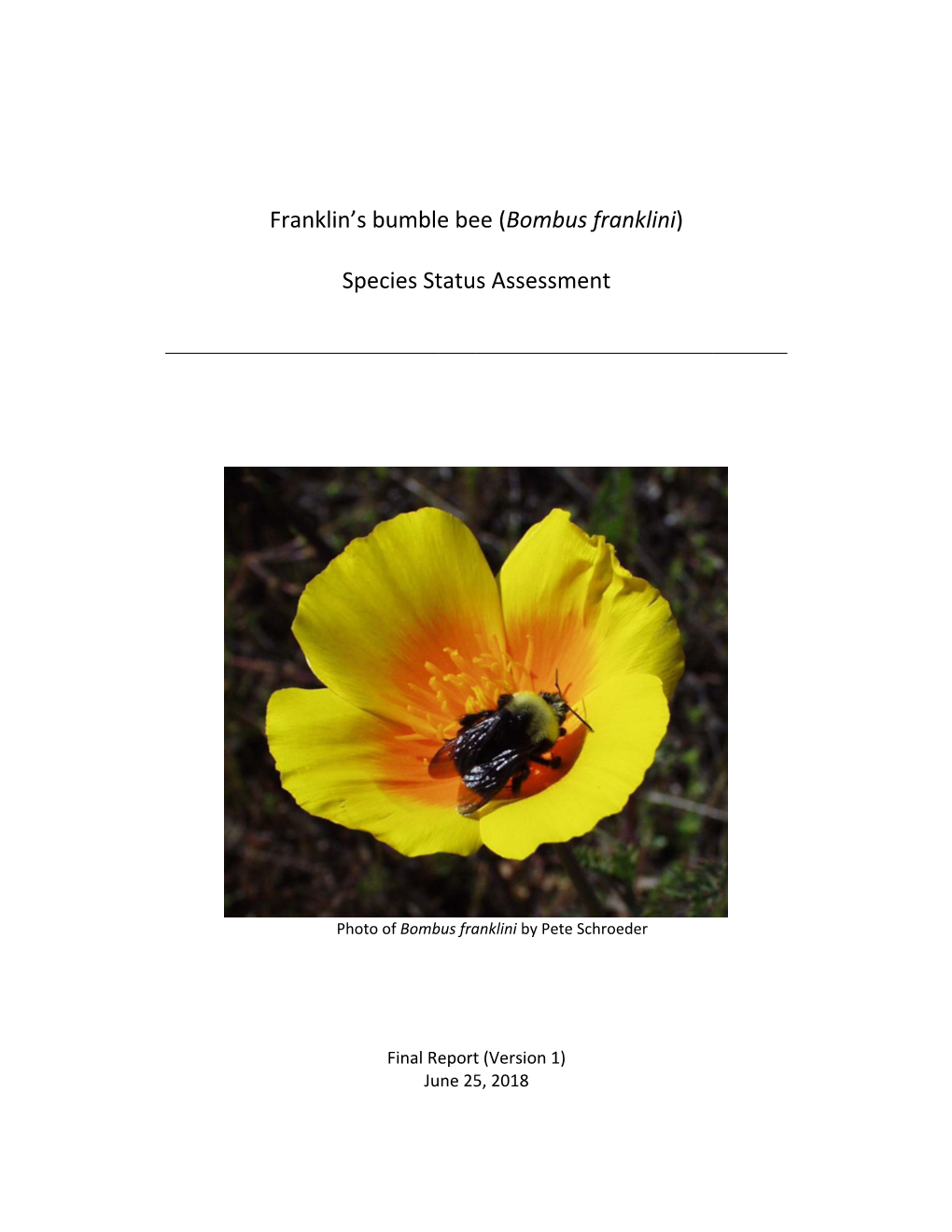 Franklin's Bumble Bee (Bombus Franklini) Species Status Assessment