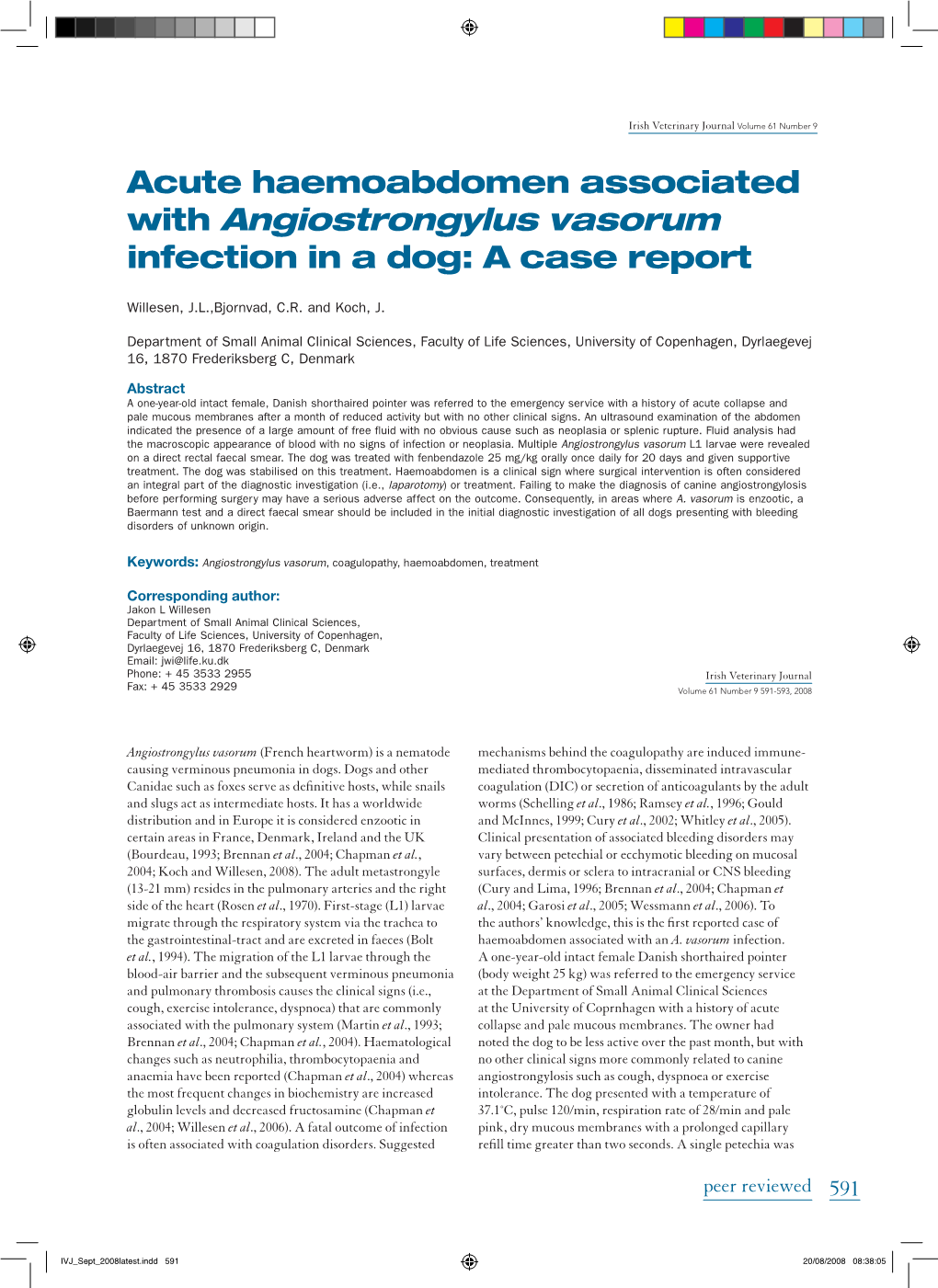 With Angiostrongylus Vasorum Infection in a Dog: a Case Report