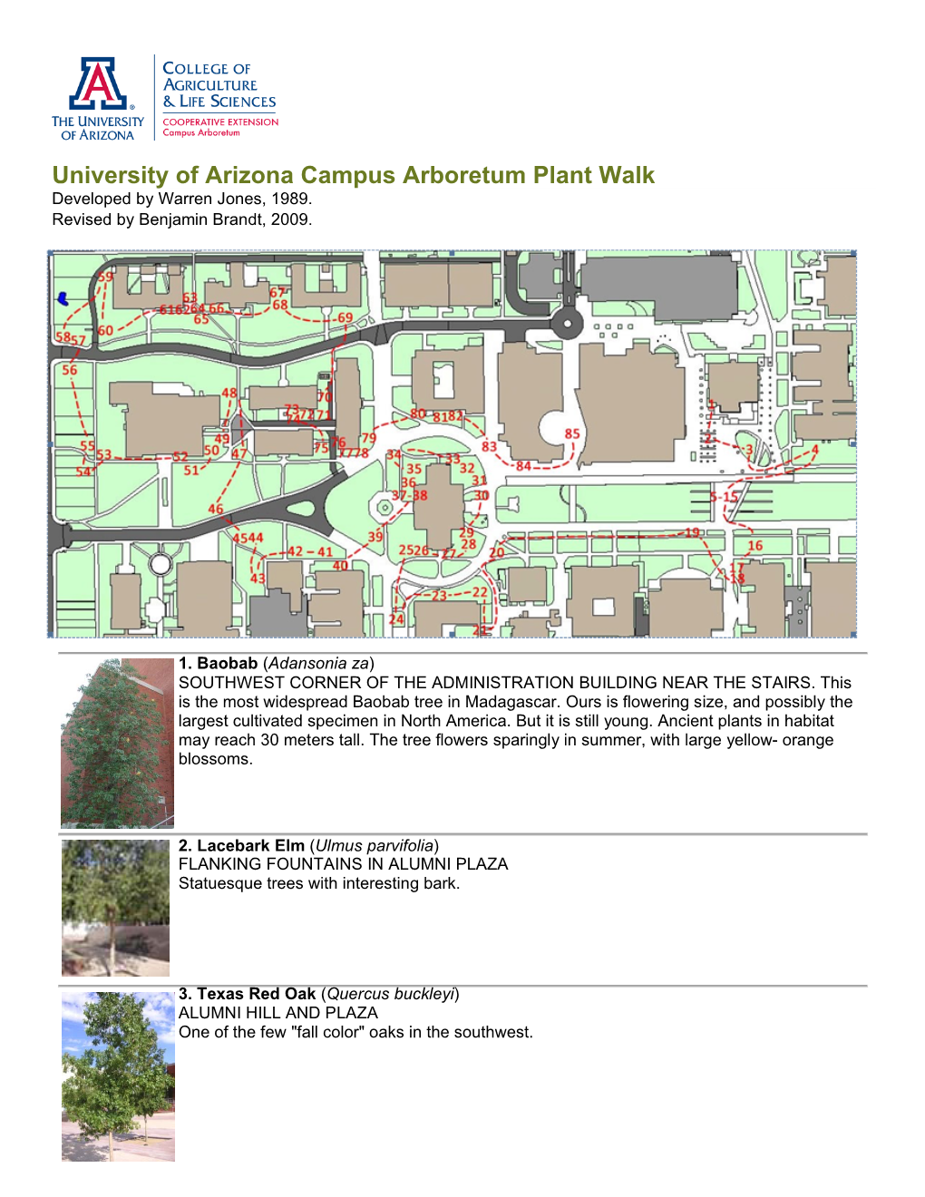 University of Arizona Campus Arboretum Plant Walk Developed by Warren Jones, 1989