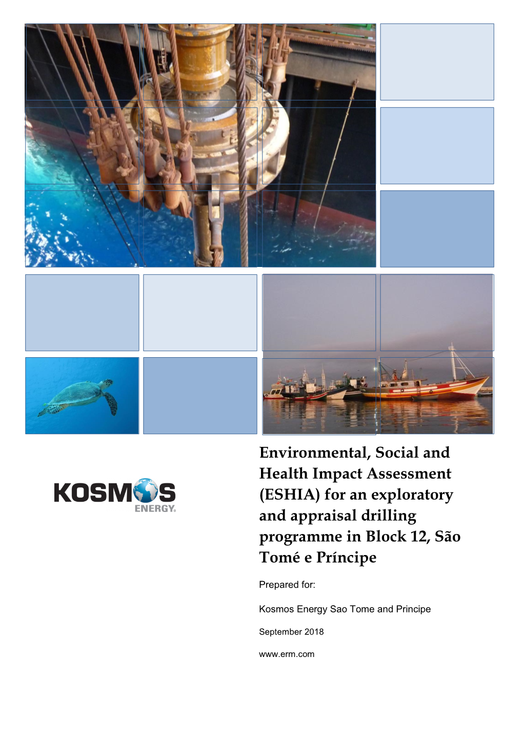 Environmental, Social and Health Impact Assessment (ESHIA) for an Exploratory and Appraisal Drilling Programme in Block 12, São