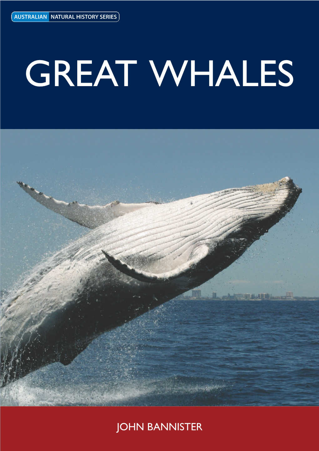 Great Whales John Bannister Great Whales