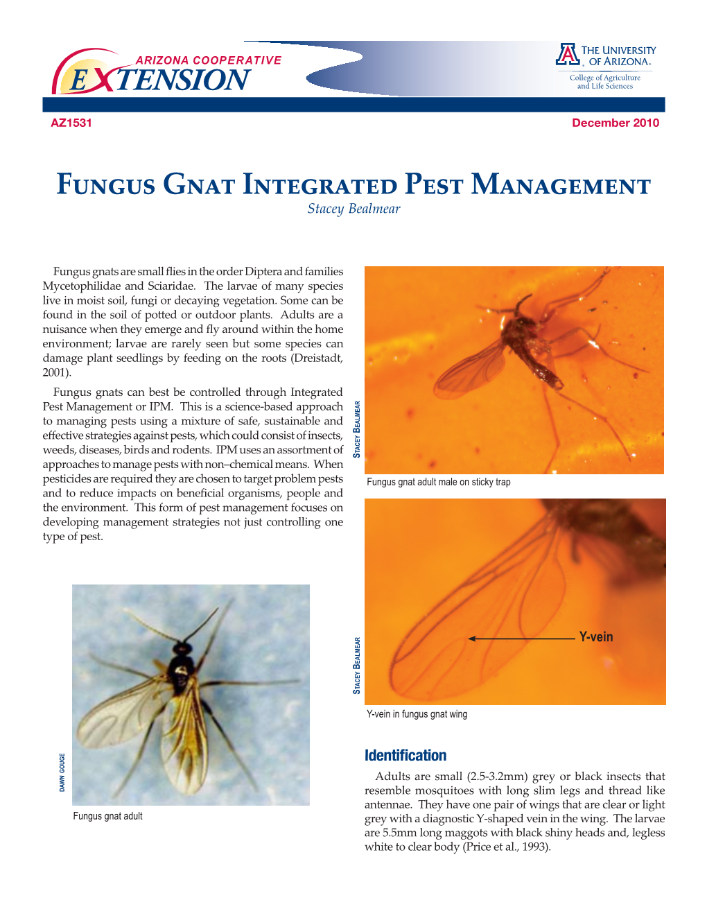 Fungus Gnat Integrated Pest Management Stacey Bealmear