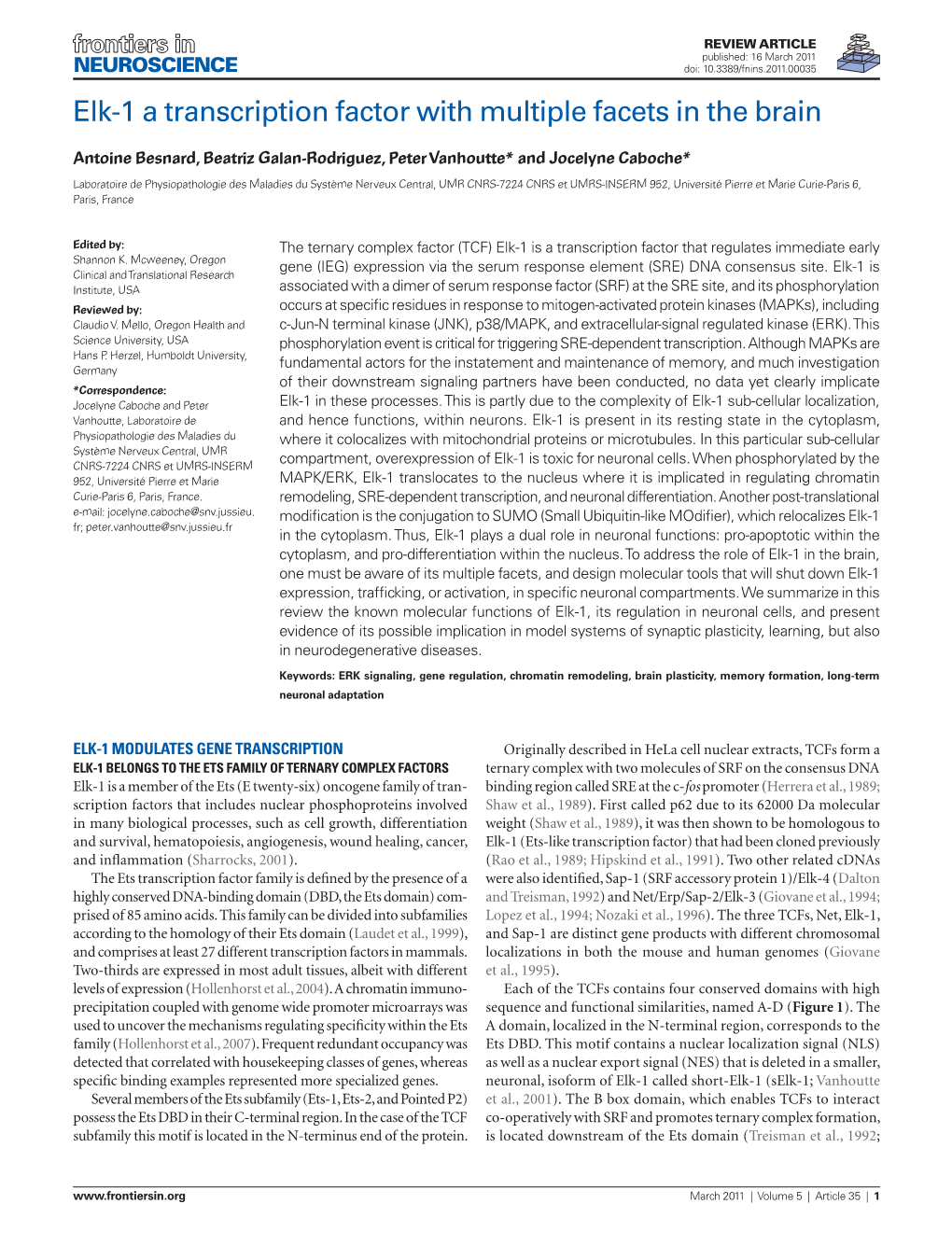 Elk-1 a Transcription Factor with Multiple Facets in the Brain