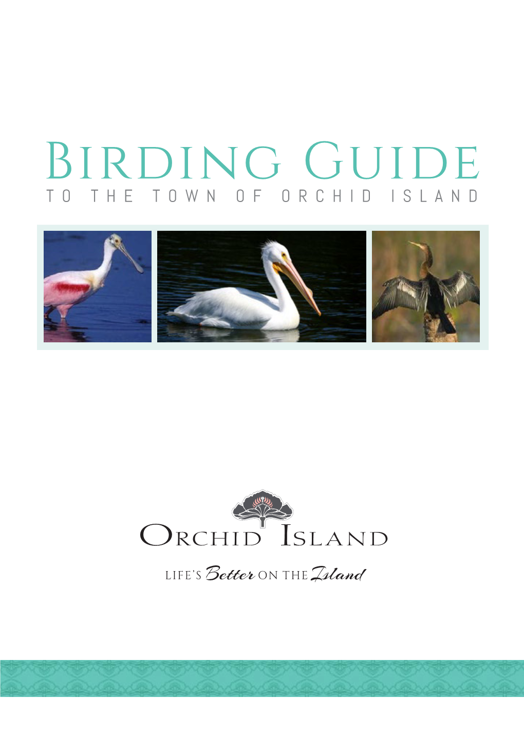 Birding Guide to the TOWN of ORCHID ISLAND BIRDS of ORCHID ISLAND