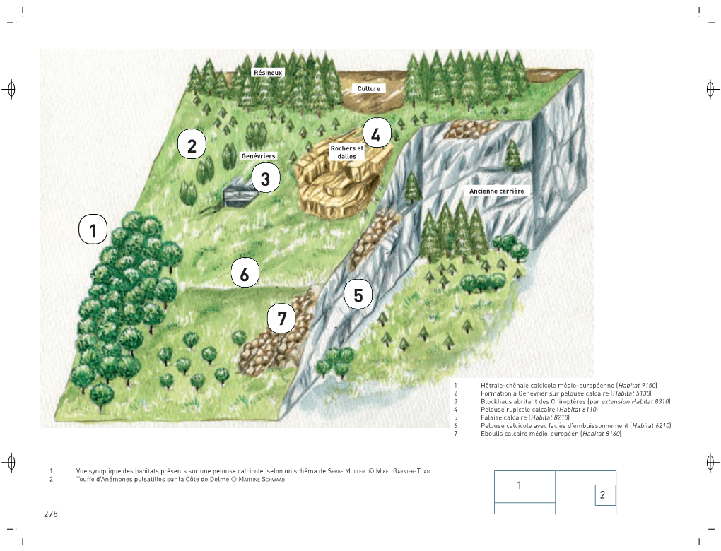 1104934 Dreal Lorraine Natura 2000 Les Sites Vol